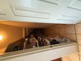 101 Quarterhorse Ct - Photo 15
