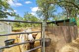 3434 Prairie Lea Rd - Photo 36