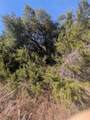 201 Springlake Dr - Photo 15