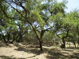 12333B Rr 12 Rd - Photo 21