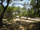 12333B Rr 12 Rd - Photo 7