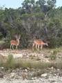 10710 Deer Canyon Rd - Photo 36