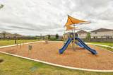 3613 Bach Dr - Photo 34