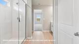 20117 Sinema Way - Photo 35