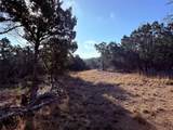3600 Stagecoach Ranch Loop - Photo 10