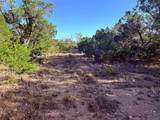3600 Stagecoach Ranch Loop - Photo 11