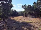 3600 Stagecoach Ranch Loop - Photo 9