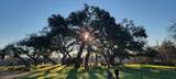 8203 Longview Rd - Photo 13