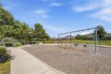 3101 Rabbit Creek Dr - Photo 33