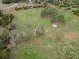 9050 Tract 3 Ranch Road 1869 - Photo 7