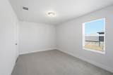 351 Begonia St - Photo 30