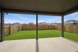 351 Begonia St - Photo 31
