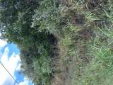 TBD Pine Hill Loop Loop - Photo 2