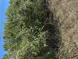 TBD Pine Hill Loop Loop - Photo 4