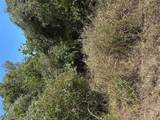 TBD Pine Hill Loop Loop - Photo 5