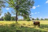 11789 Fm-2095 Highway - Photo 38