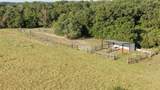 11789 Fm-2095 Highway - Photo 9