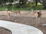 13326 Trautwein Rd - Photo 33