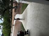 13326 Trautwein Rd - Photo 4