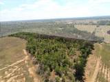 TBD County Road 302 - Photo 2