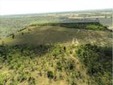 TBD County Road 302 - Photo 4