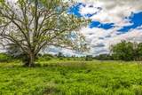 5233 County Road 106 - Photo 10