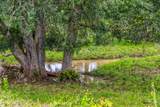 5233 County Road 106 - Photo 9
