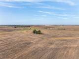 52.27 Acres County Road 301 - Photo 10