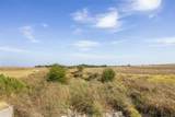 52.27 Acres County Road 301 - Photo 21