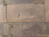 52.27 Acres County Road 301 - Photo 25