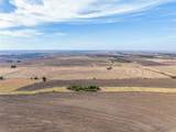 52.27 Acres County Road 301 - Photo 31