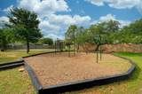 3322 Cantera Way - Photo 32