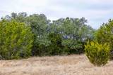 TBD County Road 200 - Photo 9