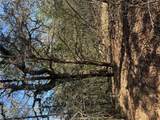 Lot 321 Keneka Ln - Photo 1