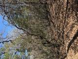 Lot 321 Keneka Ln - Photo 4