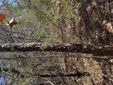 Lot 321 Keneka Ln - Photo 5