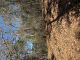 Lot 321 Keneka Ln - Photo 6
