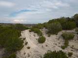 50.44 Acres County Road 3100 - Photo 12