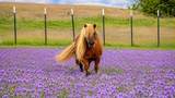 3083 Hwy 138 - Photo 33