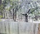12021 Shady Springs Rd - Photo 31