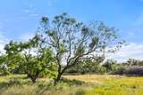 6304 County Road 110 - Photo 8