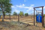 1099 Private Road 1061 - Photo 24