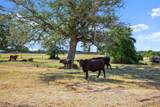 1099 Private Road 1061 - Photo 28
