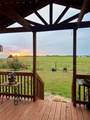 2949 County Road 437 - Photo 10