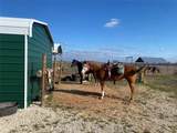 2949 County Road 437 - Photo 12