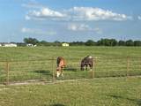 2949 County Road 437 - Photo 4