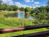 2210 Celia Dr - Photo 16