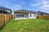 341 Begonia St - Photo 24