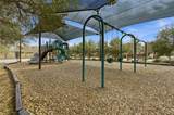 13316 Forest Sage St - Photo 37