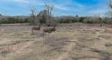 920 Old Potato Rd - Photo 18